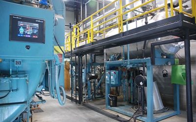 Saputo牛奶和王室打包